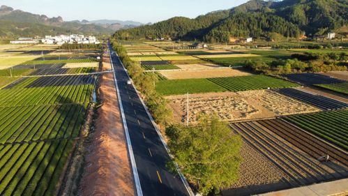 我省第三批“最美鄉村福路”名單公布，促進鄉村旅游開發項目蓬勃發展