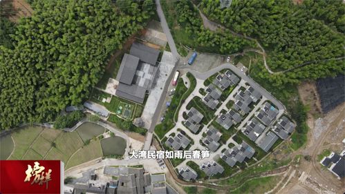 綠色大灣村 紅色旅游與茶香迎客，繪就特色發展新畫卷