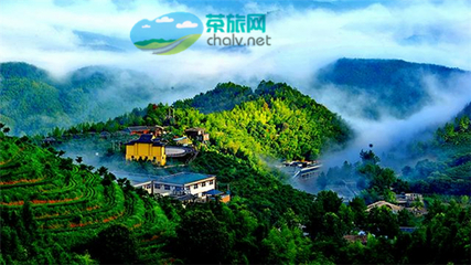 茶香漫山巒，文旅譜新篇——宜賓市敘州區天宮山茶旅融合開發項目有序推進